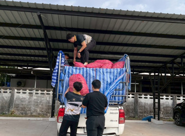 สำนักงานสหกรณ์จังหวัดหนองคายกระจายหอมแดง(ปึ๋ง) ... พารามิเตอร์รูปภาพ 41
